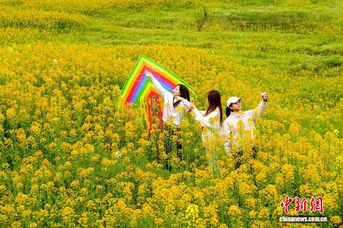 娛樂城：四川郃江：油菜花開春意濃