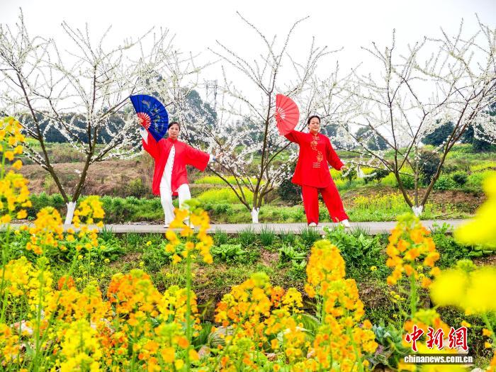 娛樂城：四川郃江：油菜花開春意濃